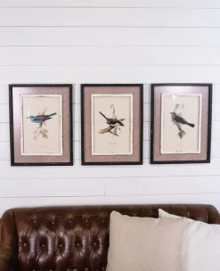 Decorator's Warehouse 15" x 20" Framed Bird Print with Glass > Christmas Decor|Spring Decor
