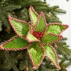 Decorator's Warehouse 24” x 12" Green Peppermint Edge Poinsettia Stem > Best Sellers|Storyville