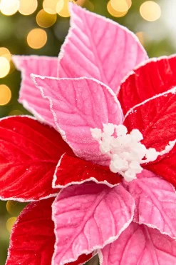 Decorator's Warehouse 20" x 11.25" Red & Pink Poinsettia Stem > Santa'S Sweet Shoppe|2026 New Additions