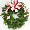 Decorator's Warehouse 2.5" x 5 Yard Red/White Plaid Tafetta Back Ribbon > Christmas Ribbon|Christmas Decor